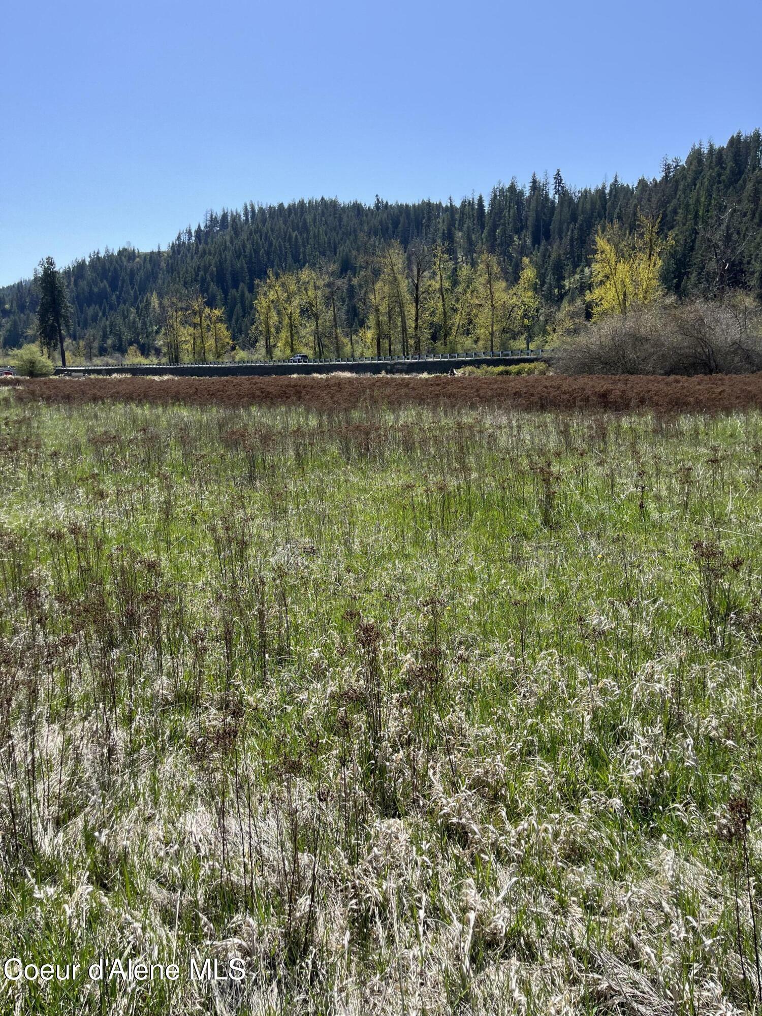 Property Photo: Nka 1040C Hwy 3 ID 83861