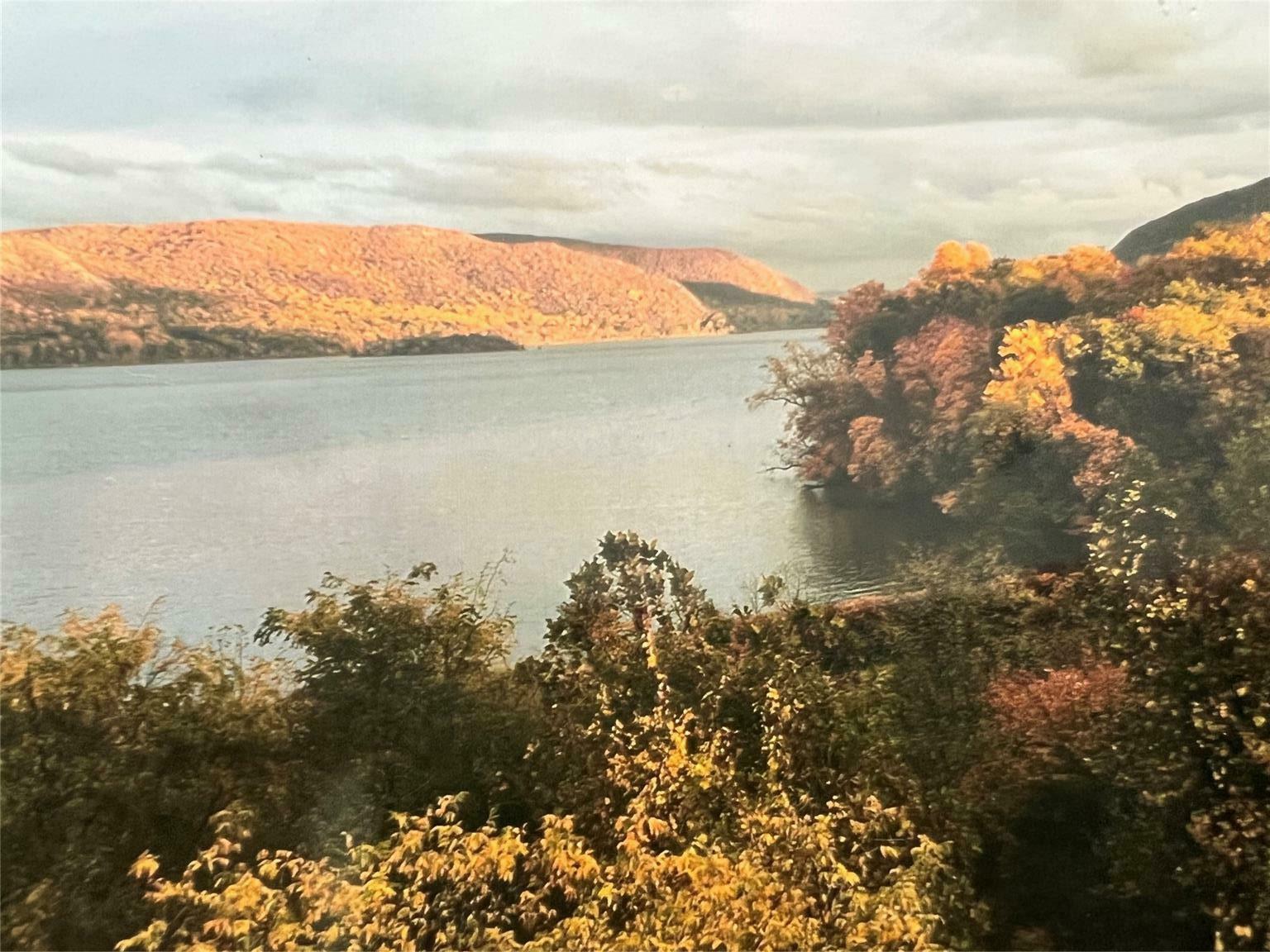 Property Photo: 282 Tamerisk Lane NY 12553