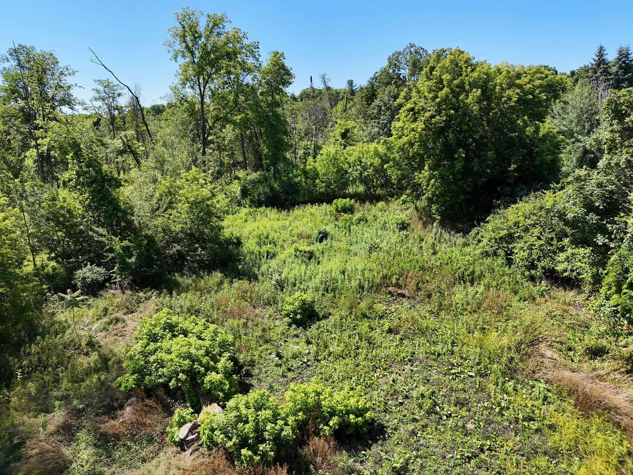 Property Photo: 1247 Ramsdell Road MI 49684