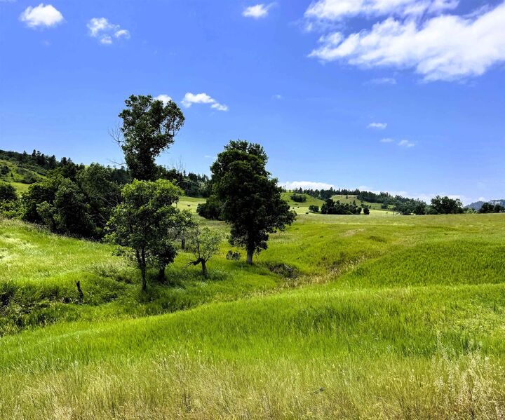 Property Photo:  E20 Holmes Road  WY 82720 