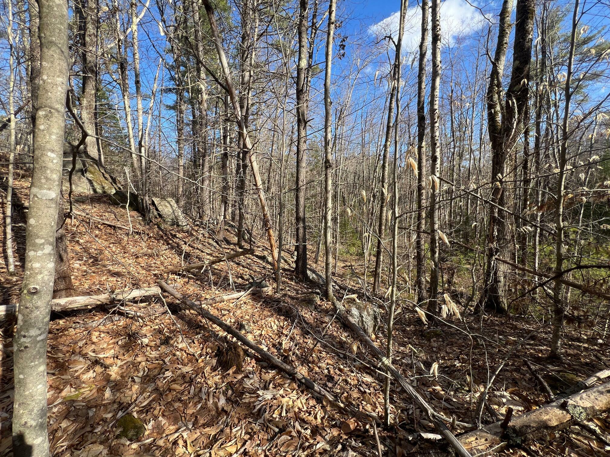 Property Photo: Lot 45 Long Street ME 04048