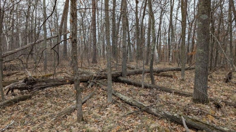 Property Photo: Xxx County Road 11 MN 56472