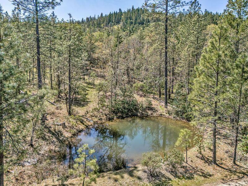 Property Photo: 980 Riessen Road OR 97526
