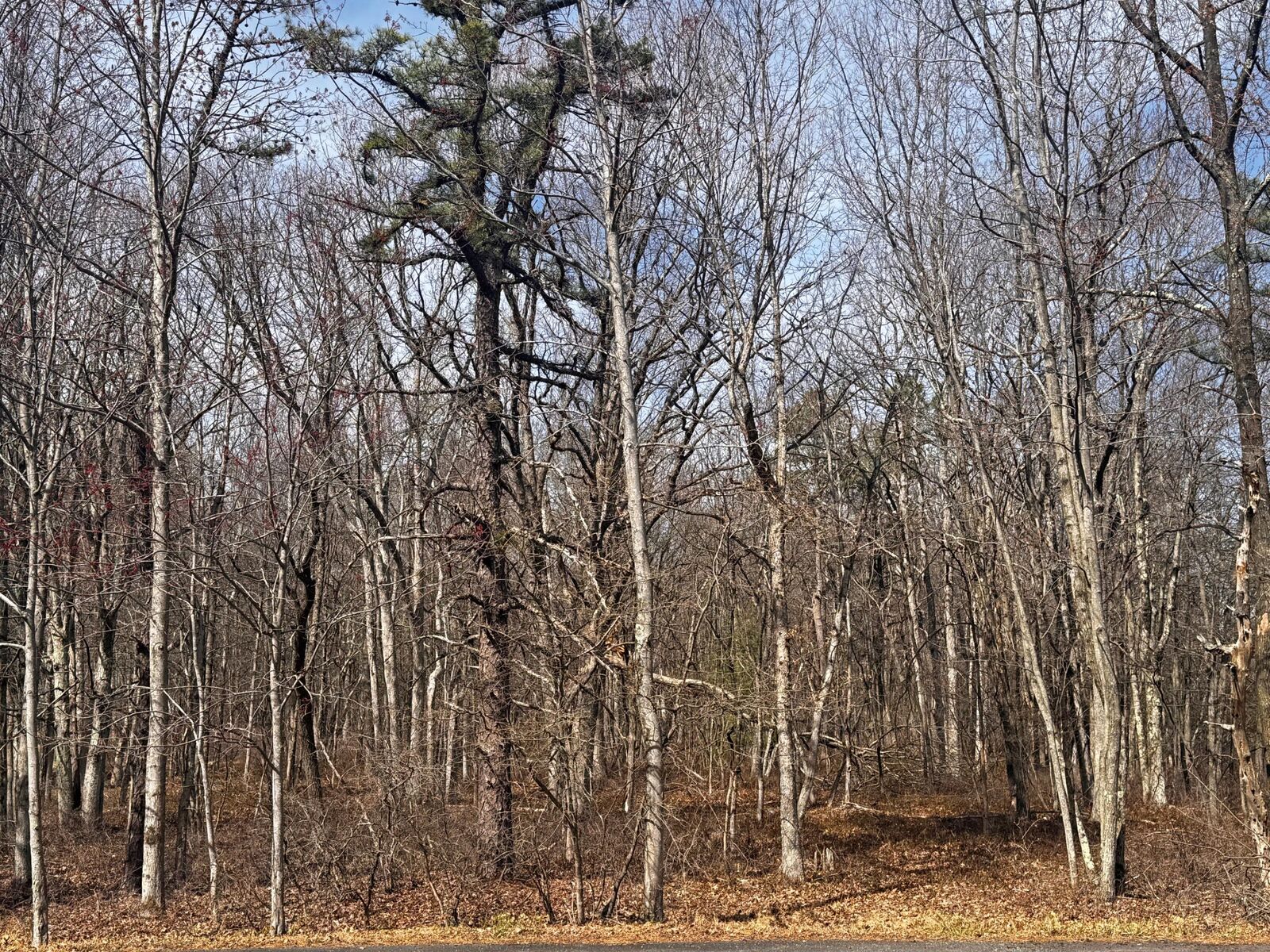 Property Photo: Bear Lane PA 18229