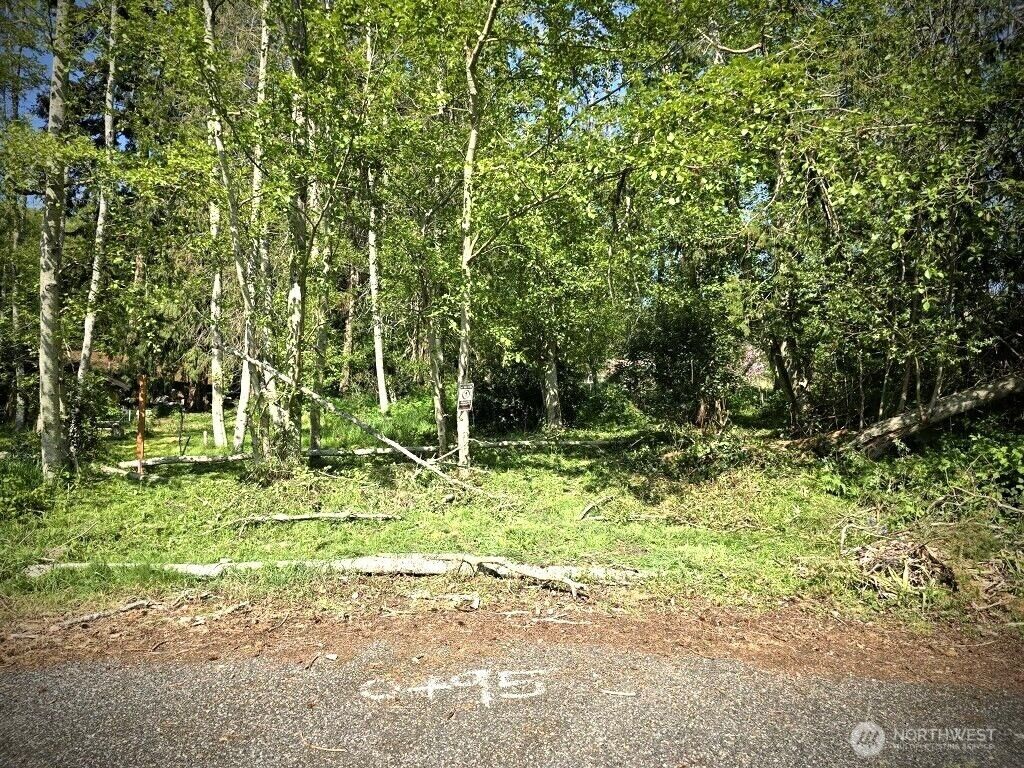 Property Photo:  0  Halsey Drive  WA 98239 