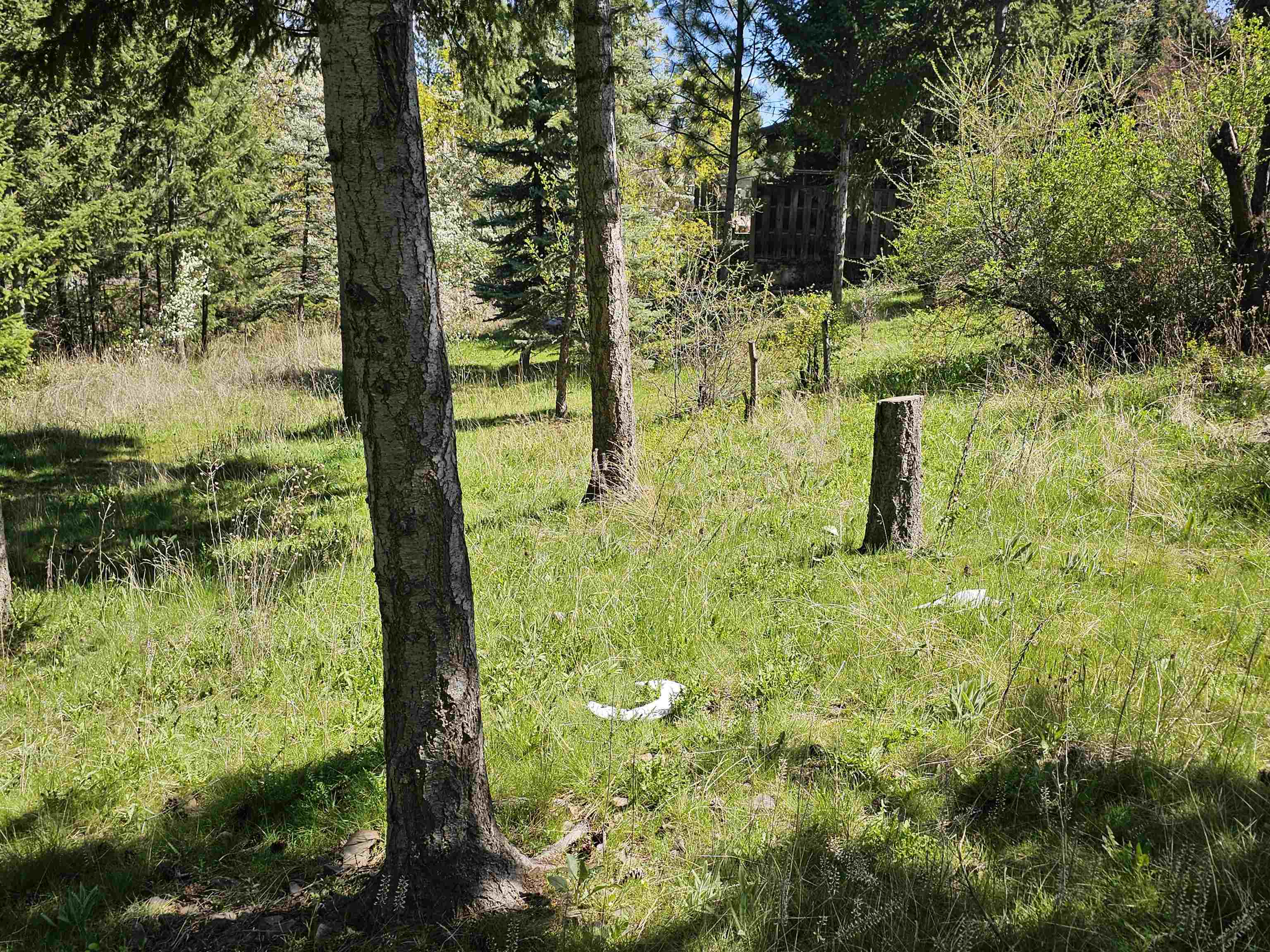 Property Photo: 1001 S Haven St WA 99202