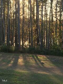 Property Photo: 675 Anderson Creek Road NC 27537