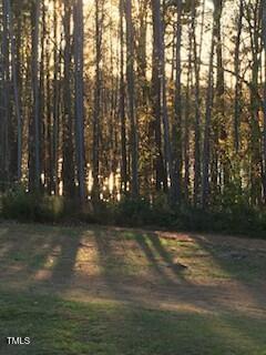 Property Photo: 675 Anderson Creek Road NC 27537