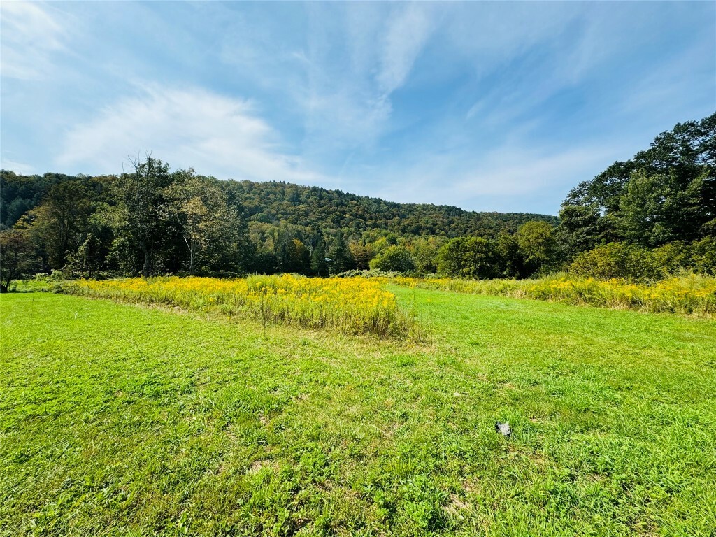 Property Photo: 10-48 Evans Road NY 13783