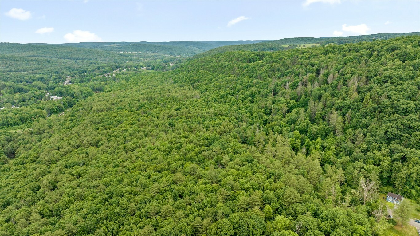 Property Photo: 342 Echo Road NY 13850