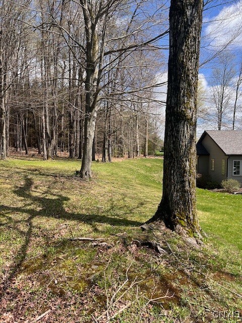 3282 Walden Oak Blvd.  Cortland NY 13045 photo