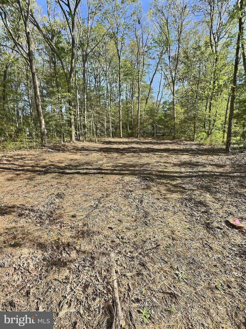Property Photo: 0 Shady Dell Park / Birch DE 19939