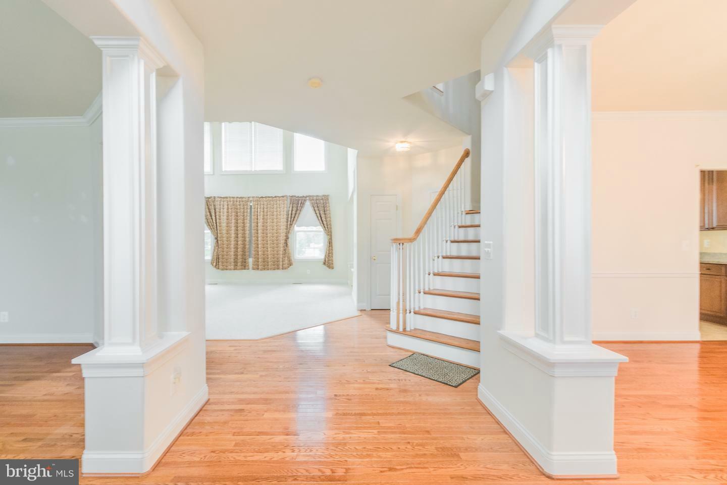 Property Photo: 104 Killaney Court VA 22602