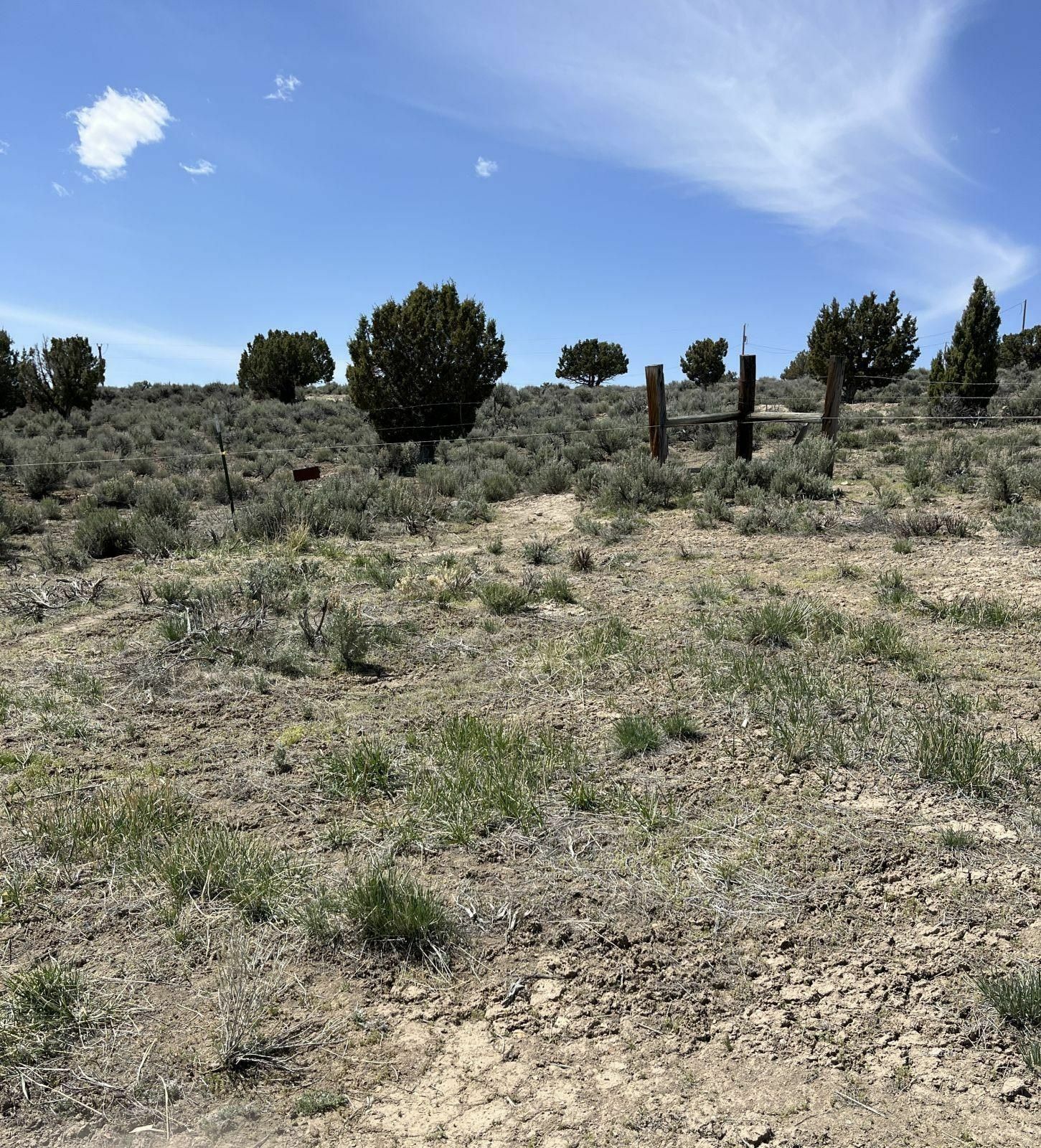 Property Photo: 2704 Osprey Street NV 89815