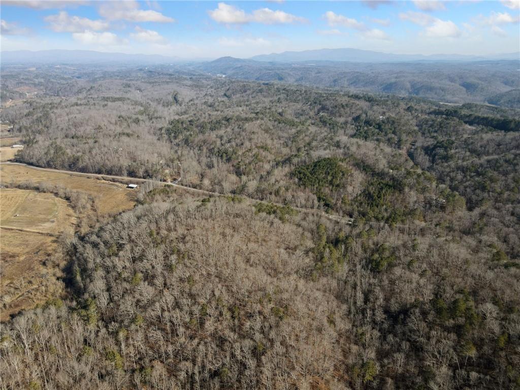 Property Photo: 23 Ac Whitestone Road GA 30175