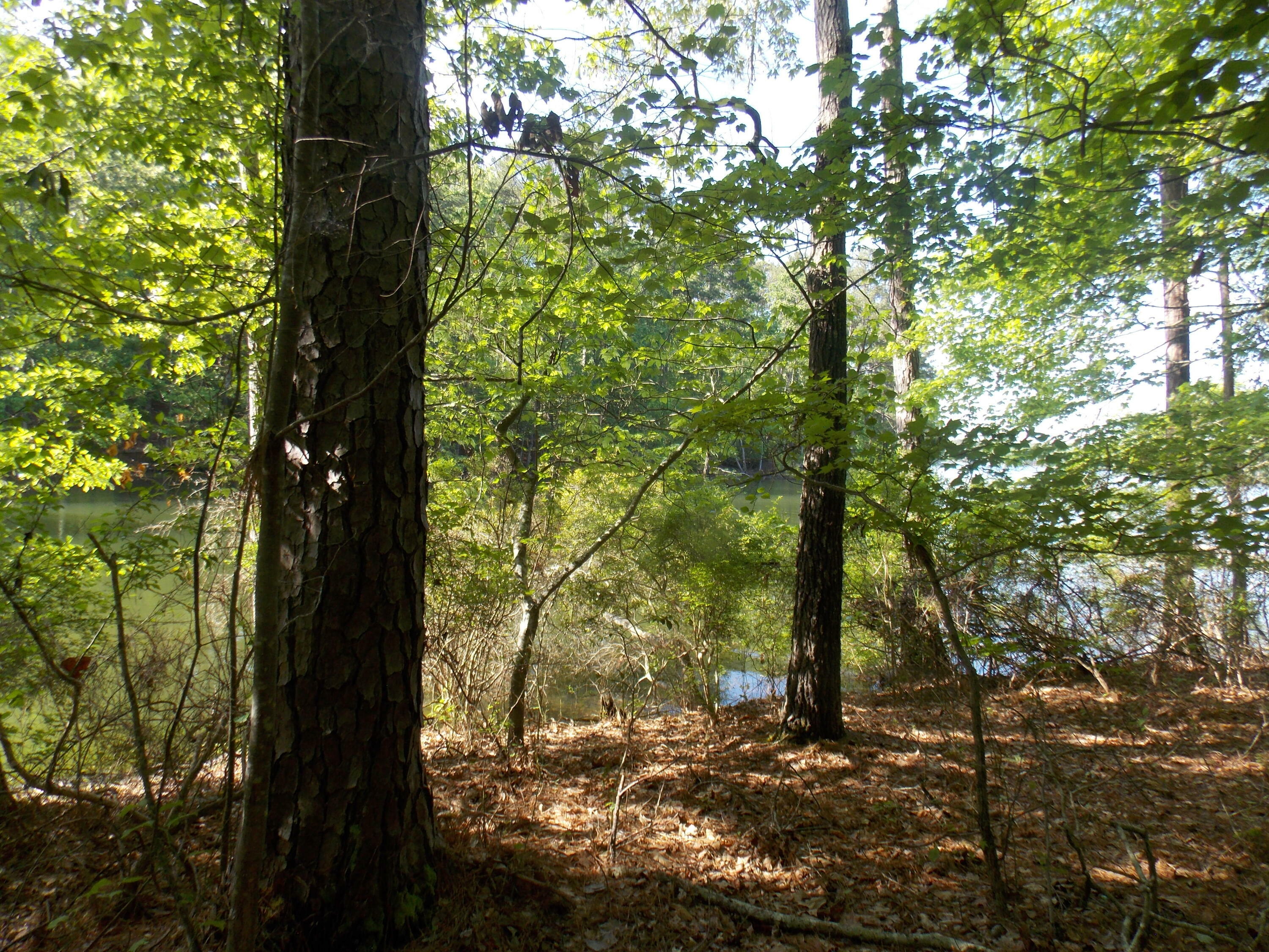 Property Photo: 12 Riverview Court GA 30817