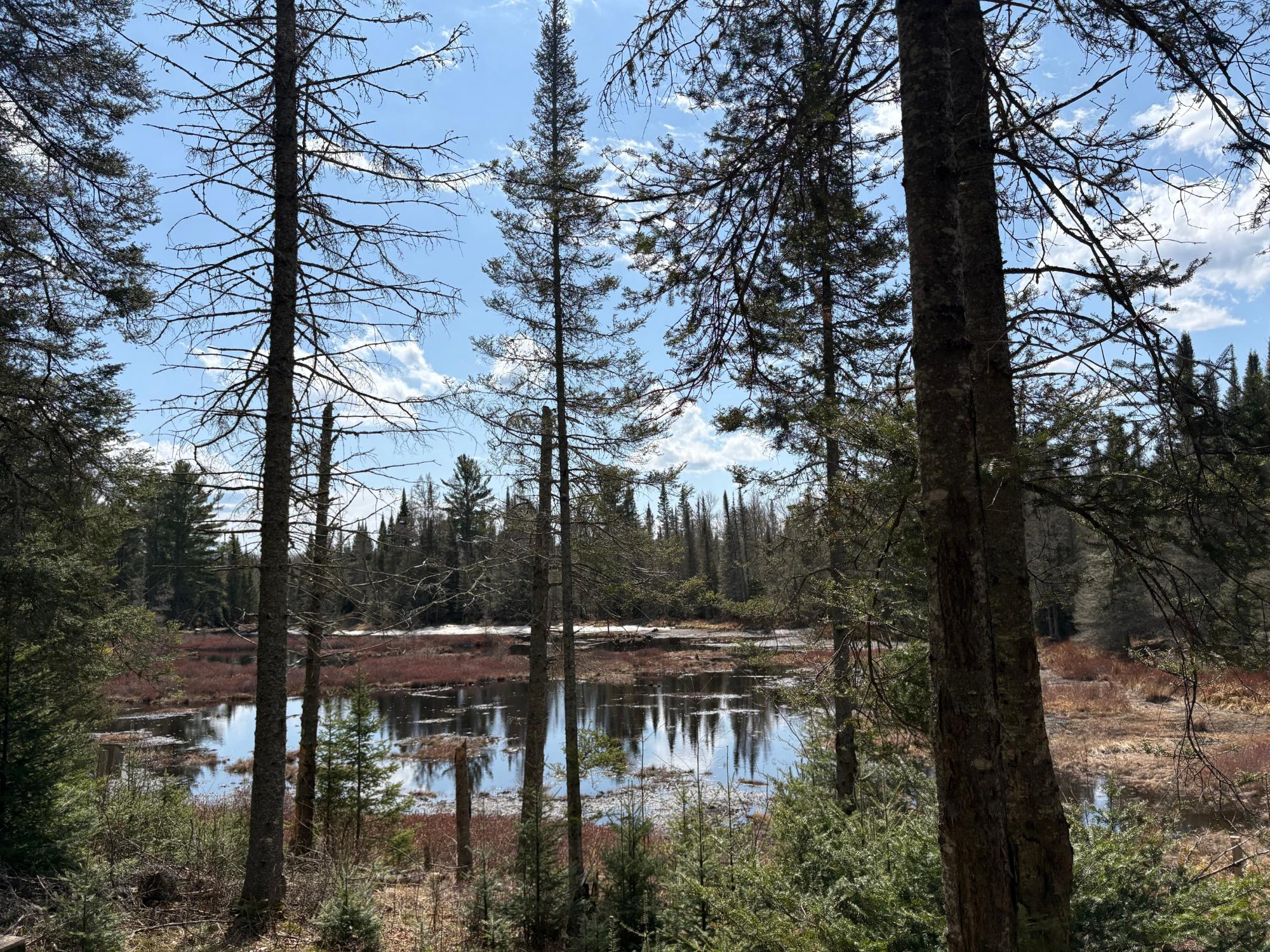 Property Photo:  On Waterfall Way Dr  WI 54557 