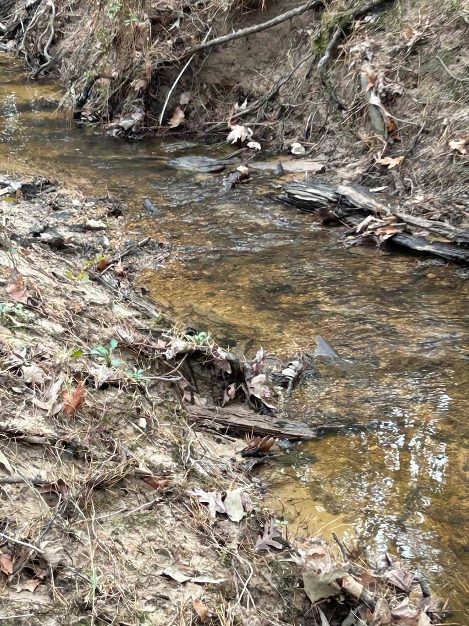 Property Photo: Tract 6 Lloyd Walker Road TX 75949