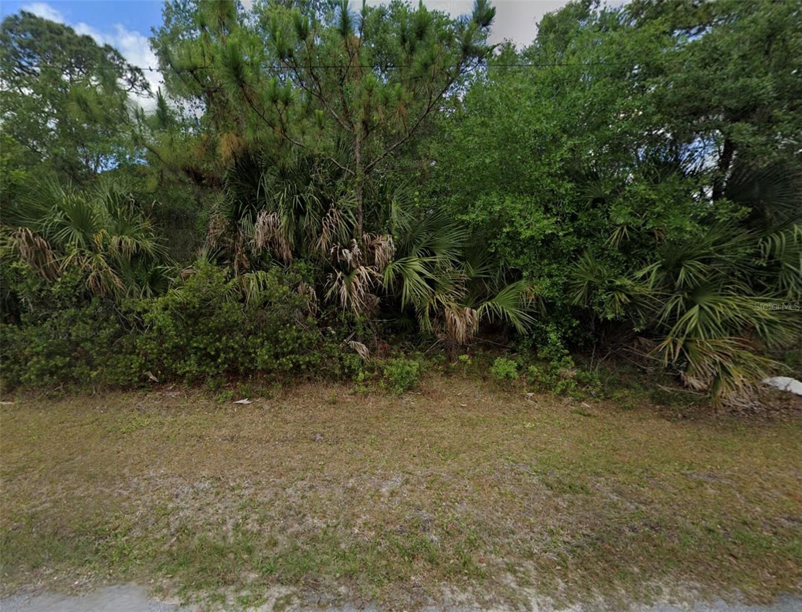 Property Photo:  1239 Furman Street  FL 33953 