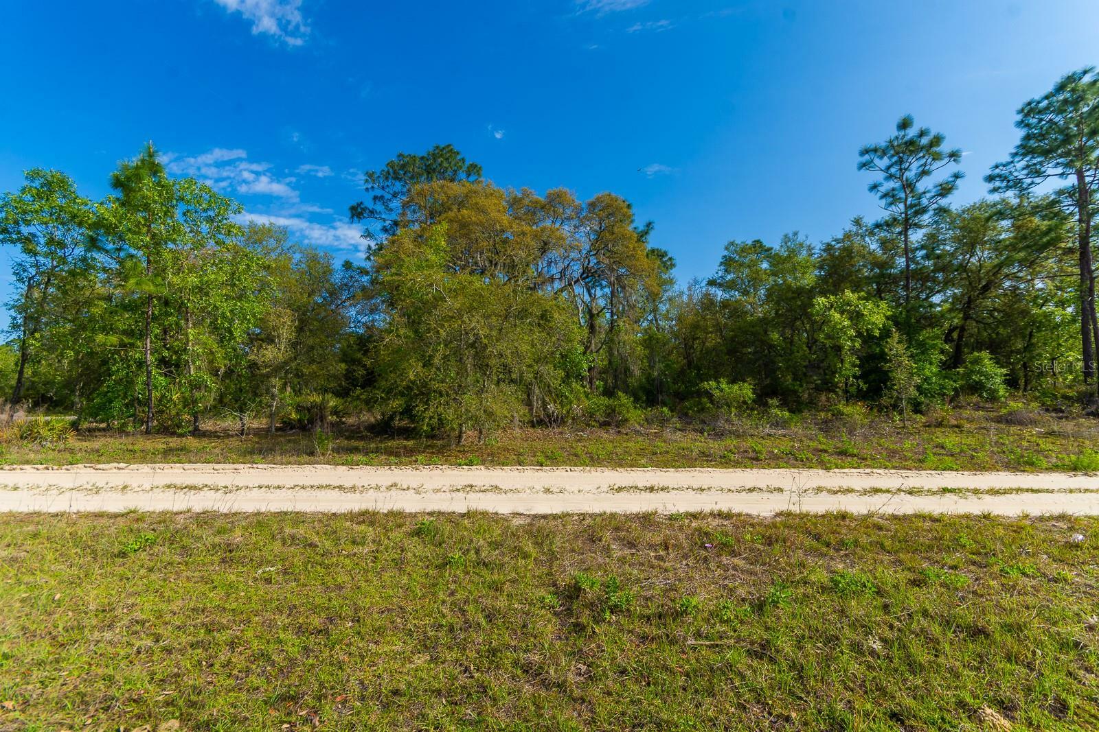Property Photo: NE 65 Street FL 32696