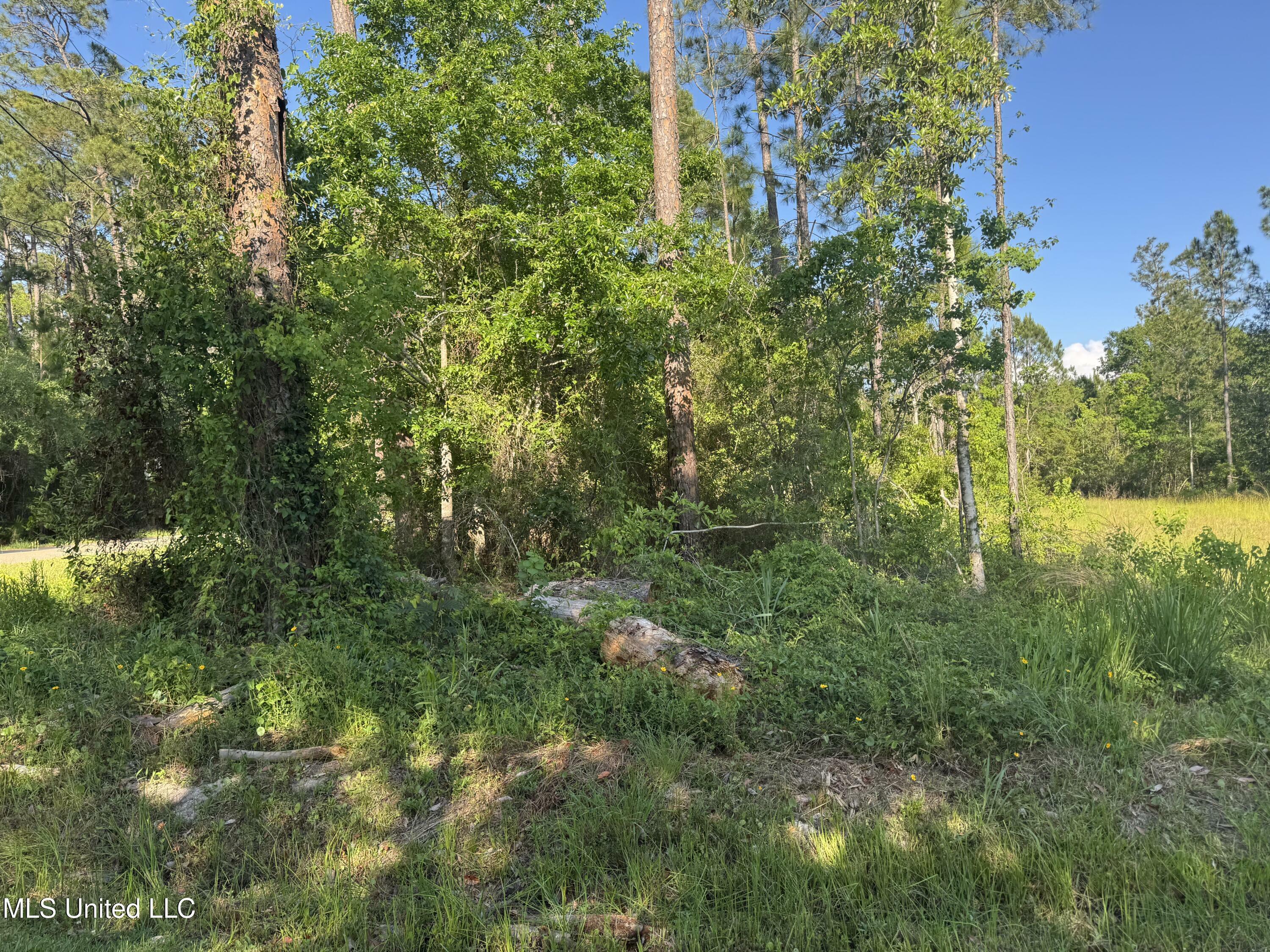 Property Photo: Nsn Suzanne Drive MS 39571