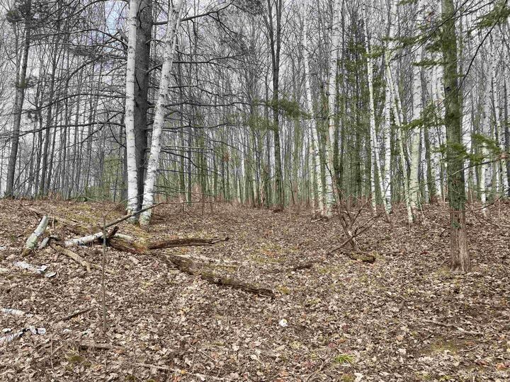 Property Photo:  Tbd Smith Lake Dr Drive  MI 49854 