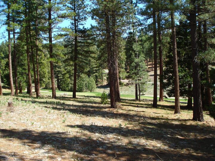 Property Photo:  360 Big Grizzly 4  CA 96122 