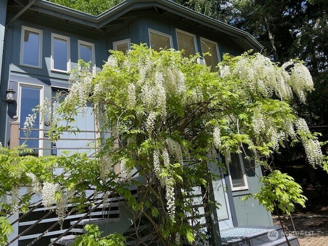 Property Photo: 266 Quillyute Place WA 98257