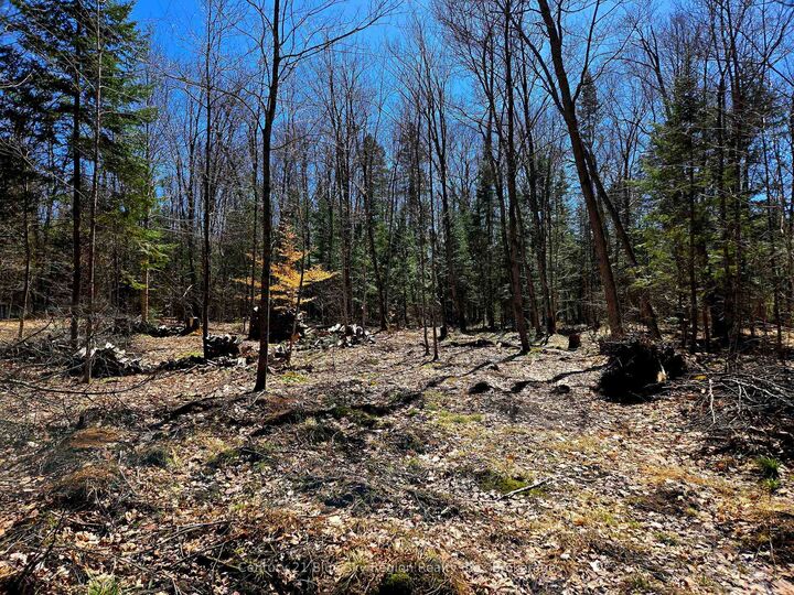 Property Photo:  3267 Highway 534 N/A  ON P0H 1W0 