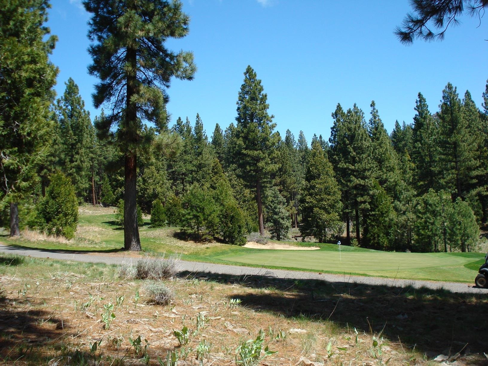 Property Photo:  360 Big Grizzly Road  CA 96122 