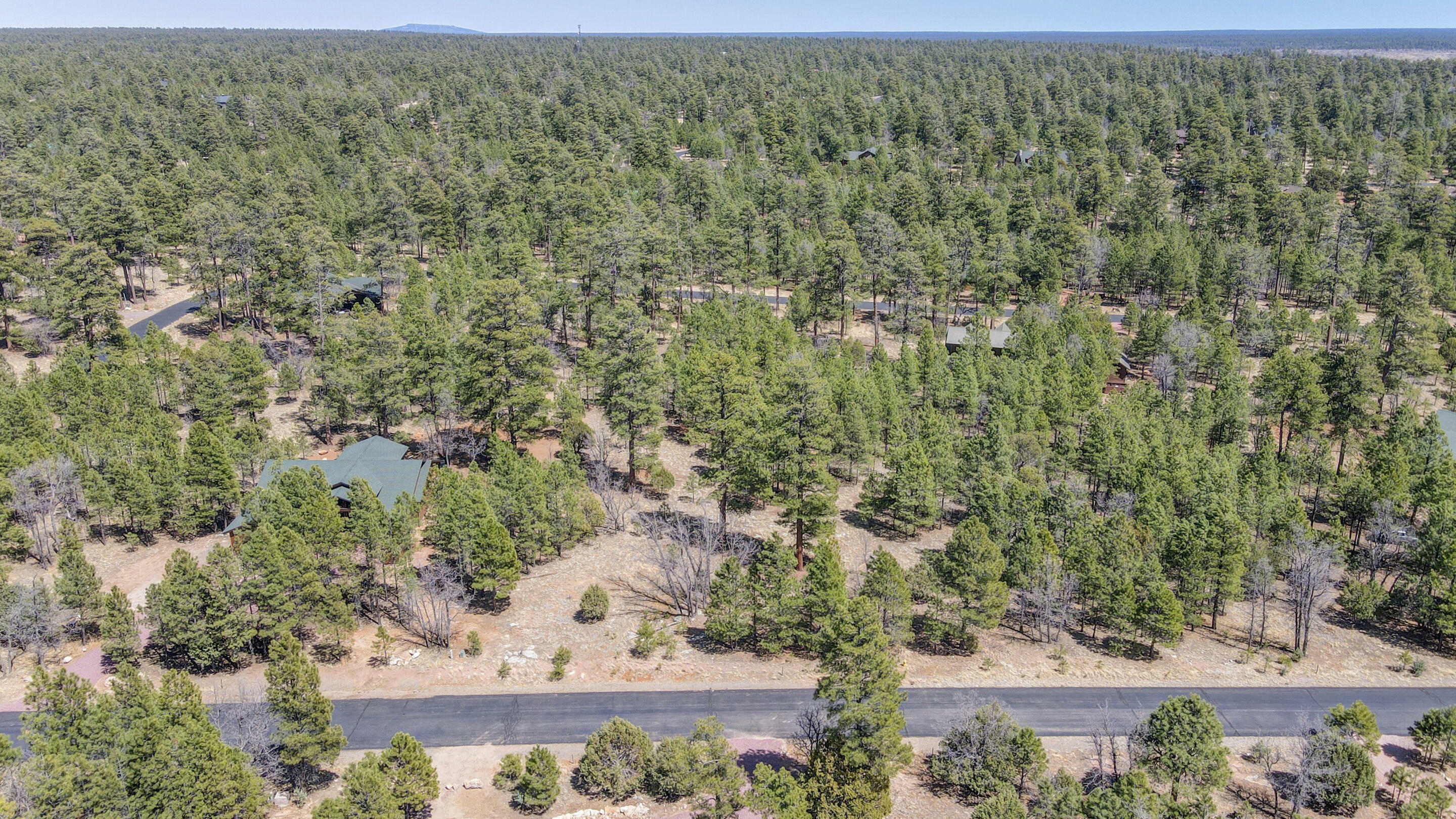 Property Photo: 1755 Sugar Pine Drive AZ 86024