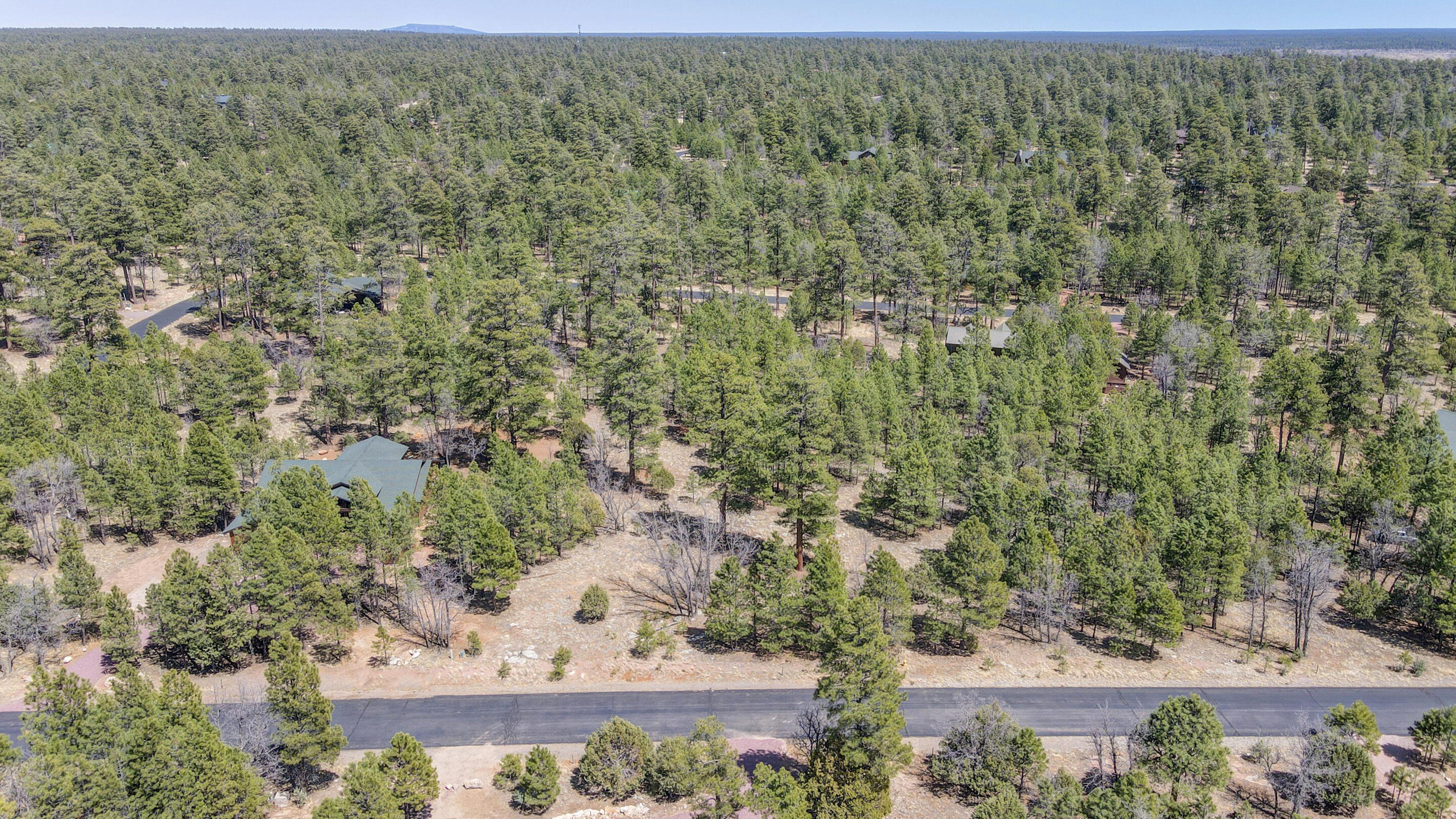 Property Photo:  1755 Sugar Pine Drive  AZ 86024 