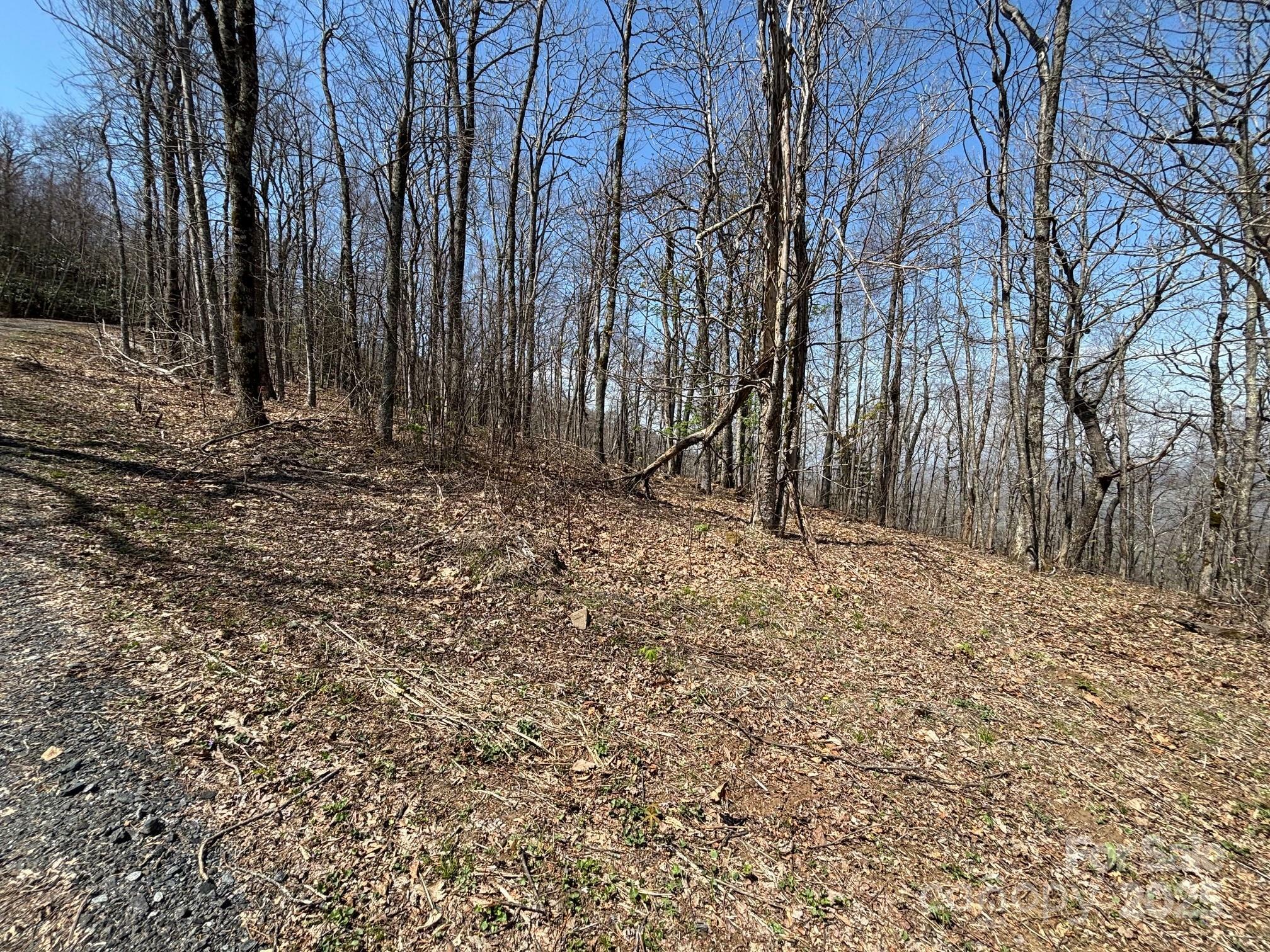Property Photo: Tbd Arrowhead Ridge Road NC 28777