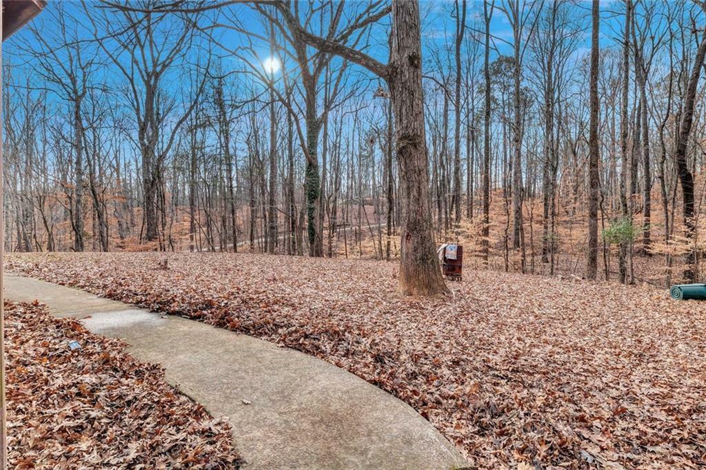 Property Photo:  4220 Chapel Hill Farms Drive  GA 30135 