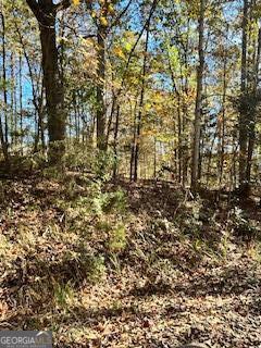 Property Photo: 1 Hillshore Court GA 30553