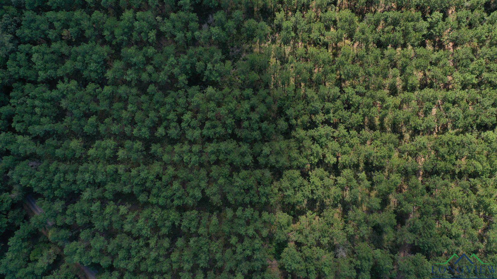 Property Photo: 000N County Road 1926 TX 75563