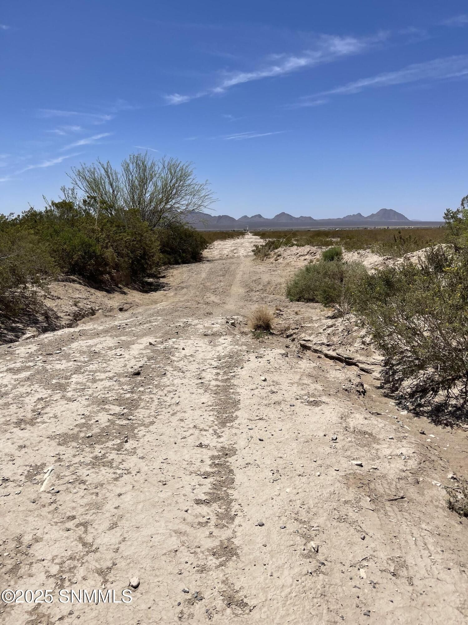 Property Photo:  9357 Rabbit Run Road  NM 88012 