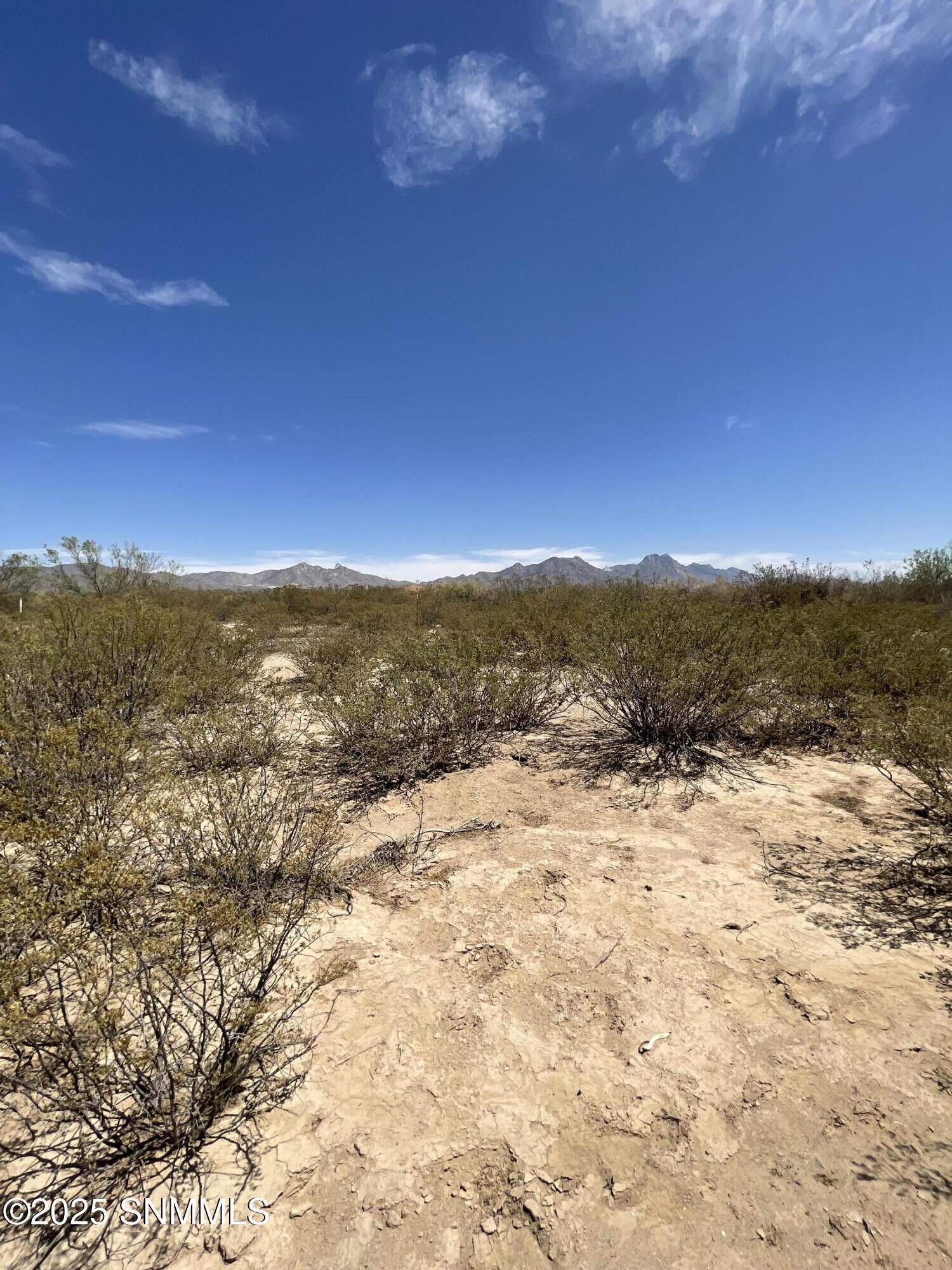 Property Photo:  9245 Rabbit Run Road  NM 88012 