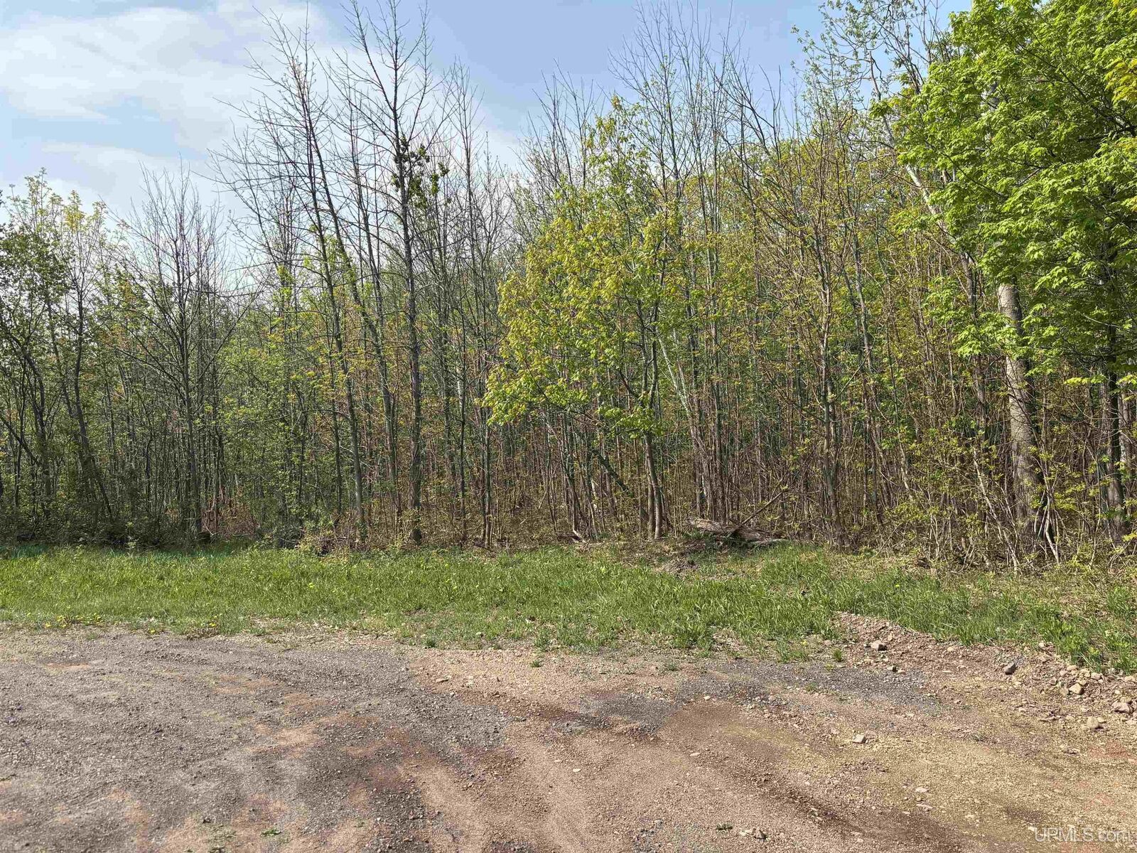 Property Photo:  Tbd B Gorton Road  MI 49930 