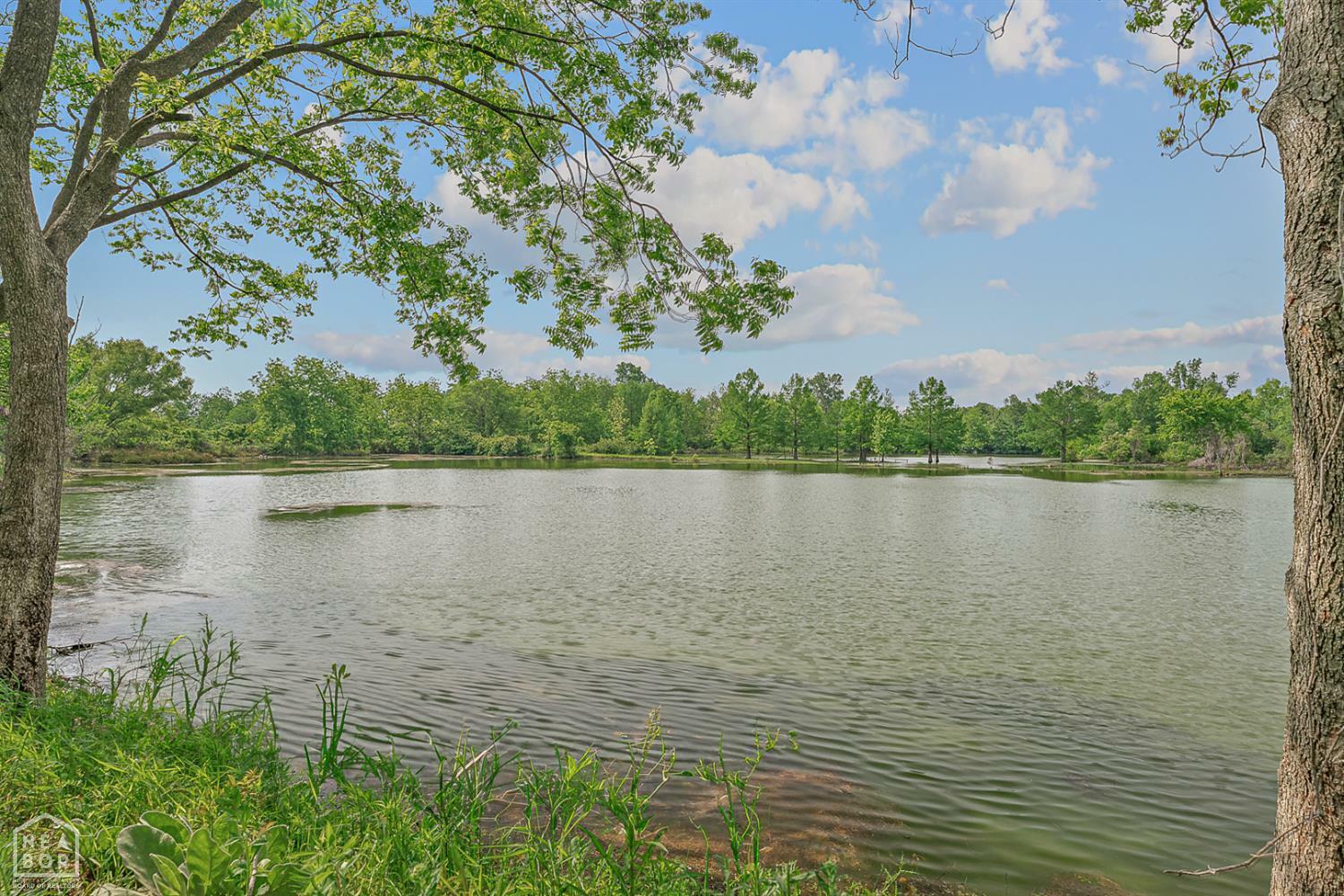 Property Photo: 3337 E County Road 70 AR 72315