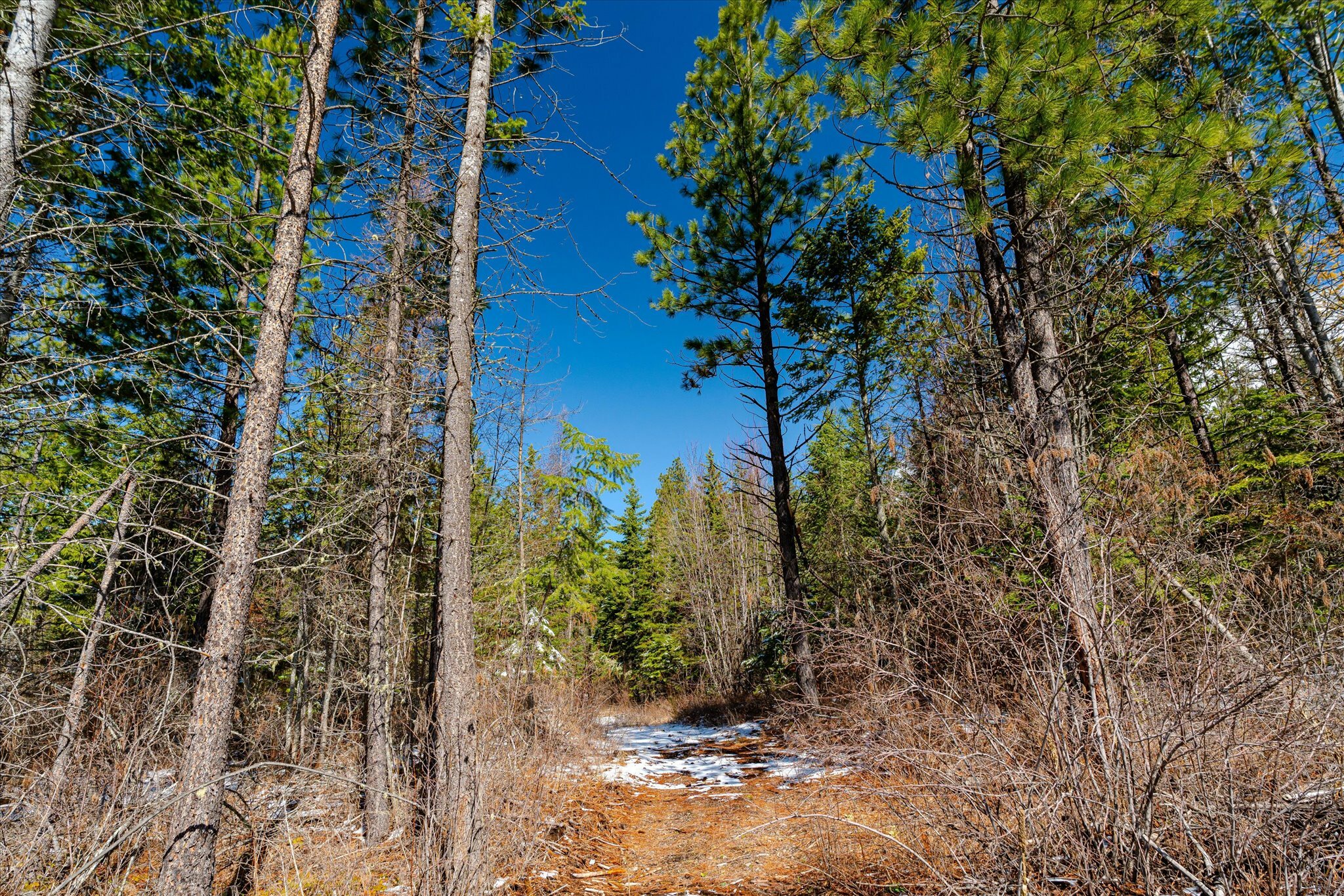 Property Photo: Nhn Liebig Lane MT 59860