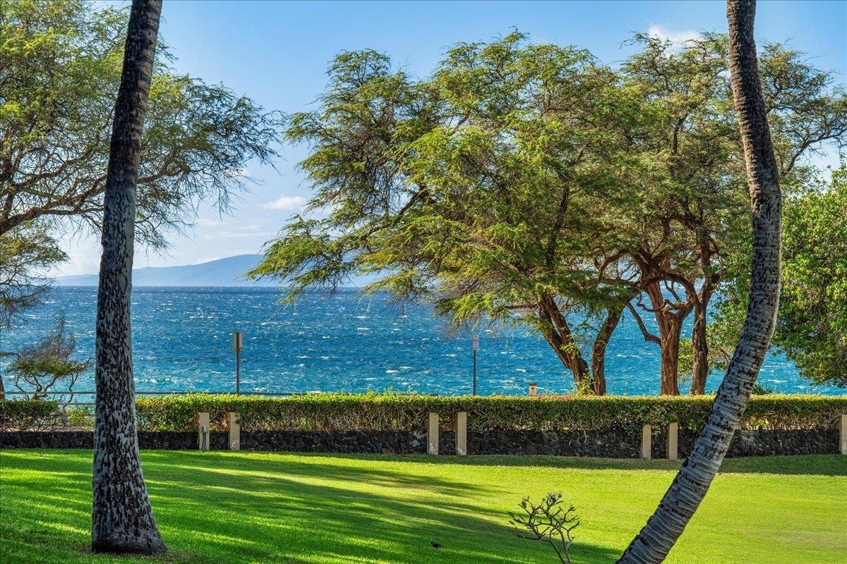 Property Photo: 2695 S Kihei Rd 10-108 HI 96753