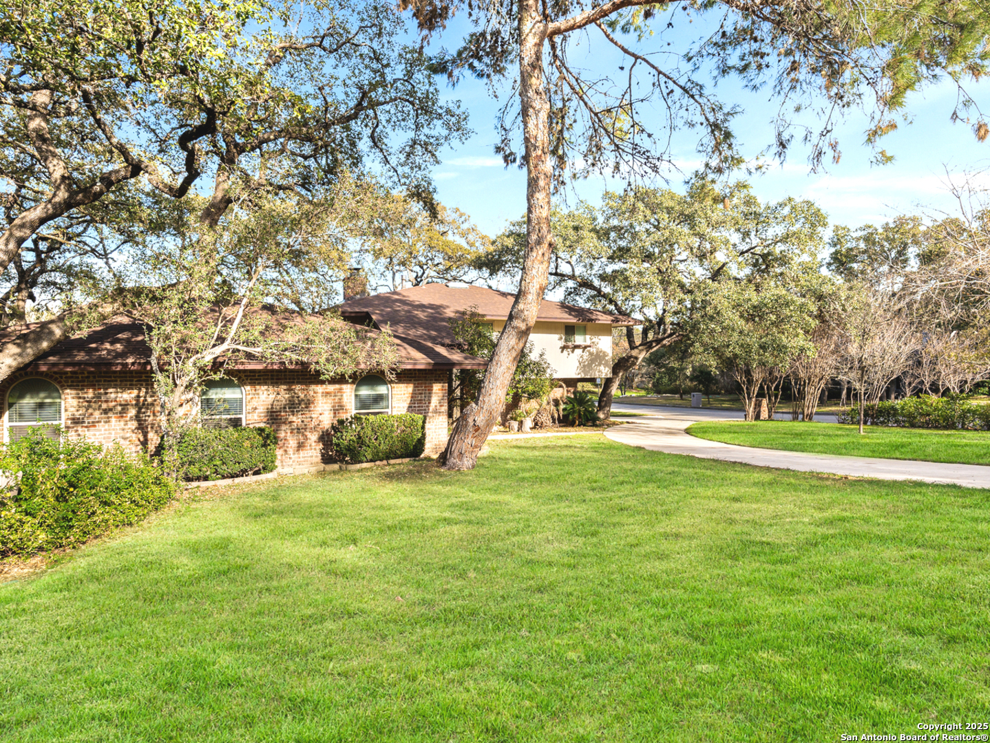301 Sagecrest  Hollywood Park TX 78232 photo