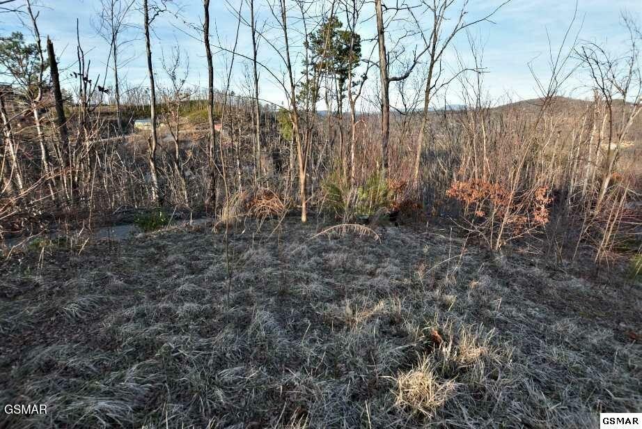 Property Photo: 429 Red Hawk Way TN 37738