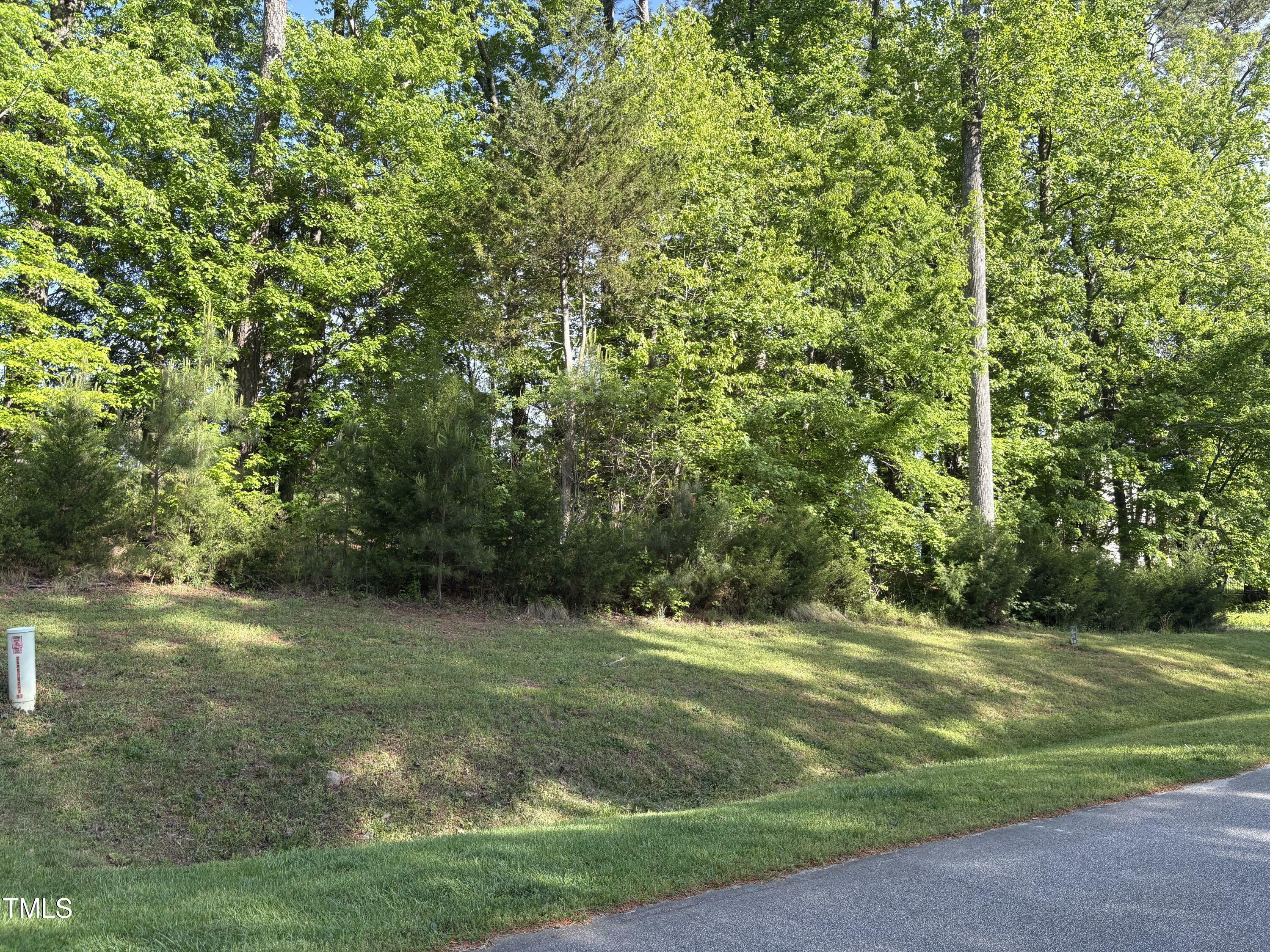 Property Photo: 1121 Dovefield Lane NC 27596