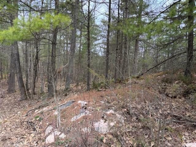 Property Photo:  325 Bridgewater Road  ON K0K 2K0 