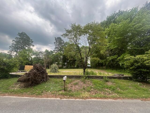 Property Photo: 35 Coker Drive SC 29803