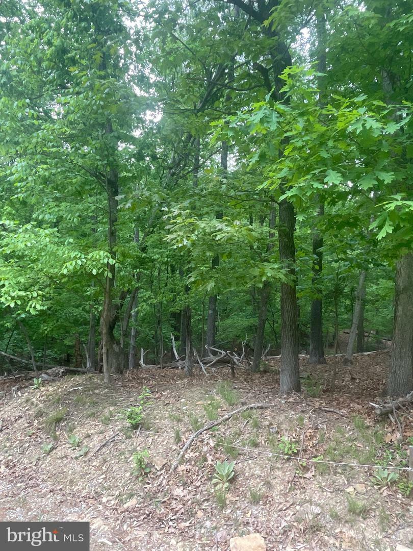 Property Photo: Lot 24 Maple Lane VA 20135