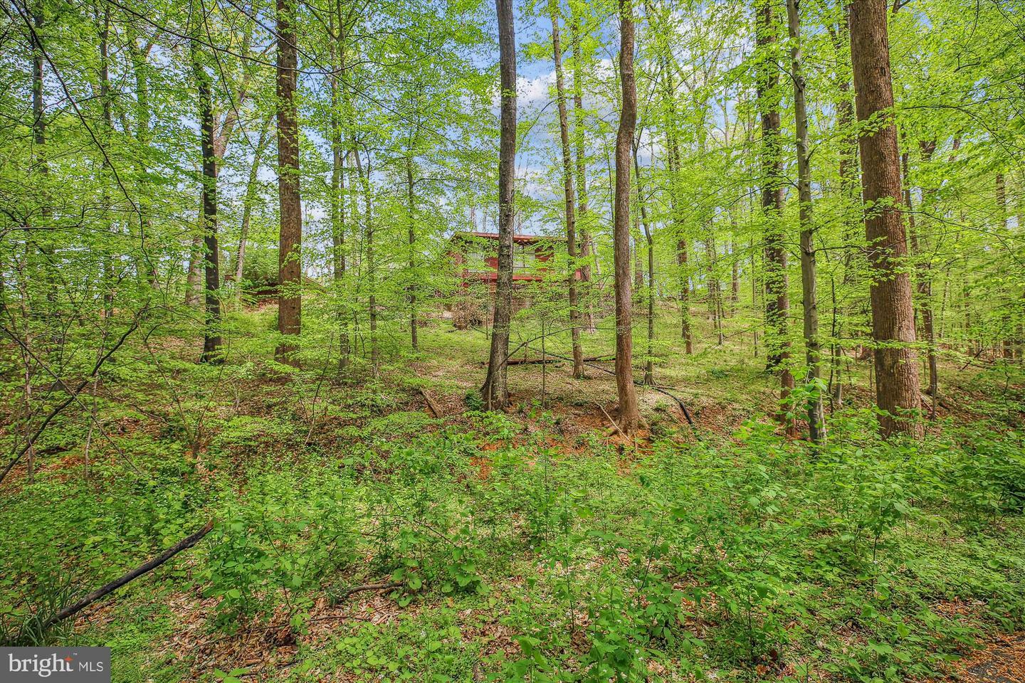Property Photo: 11621 Springridge Road MD 20854