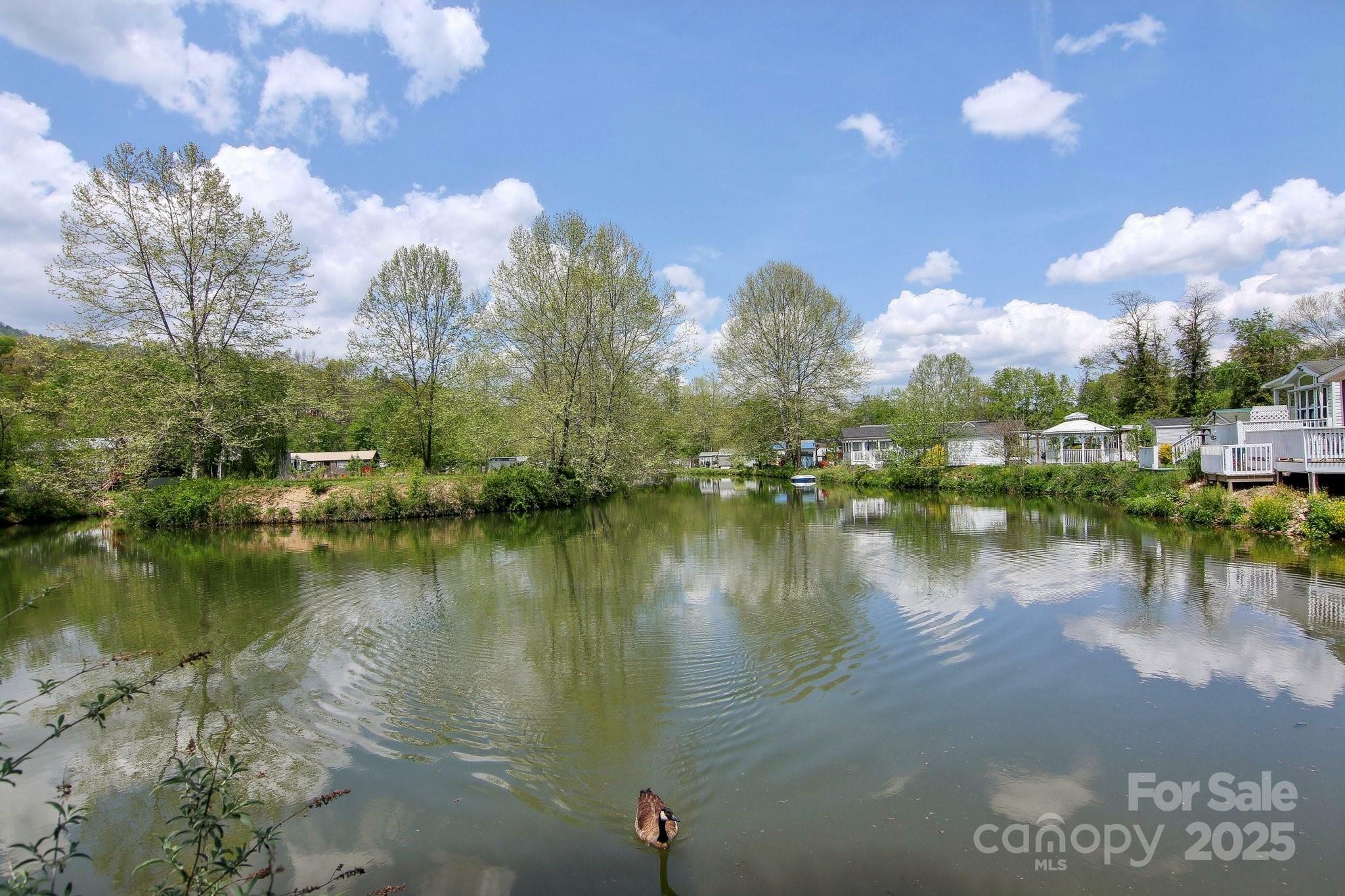 Property Photo:  222 Pike Point  NC 28785 